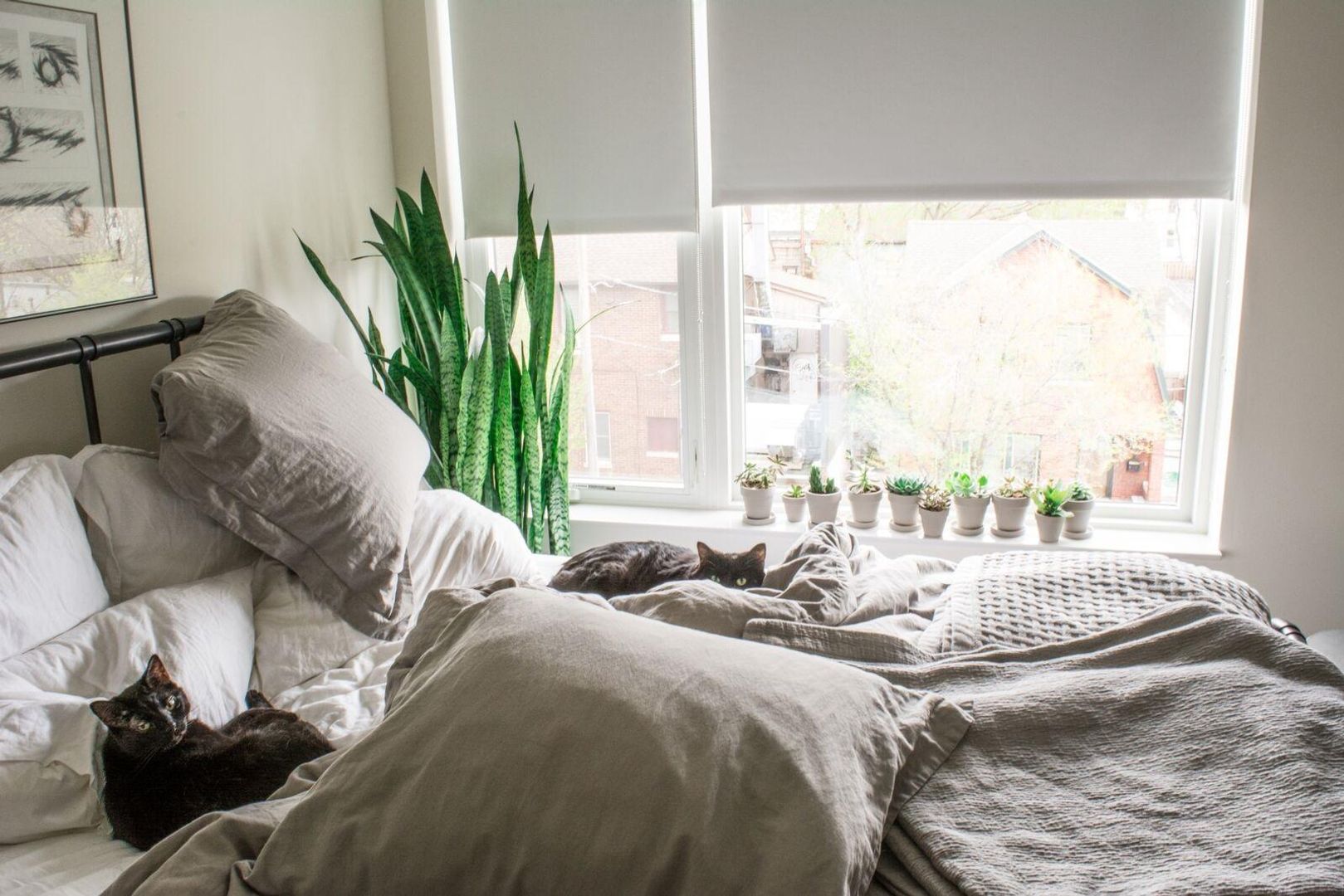 Milwaukee Apartment: 1601 N Jackson Street