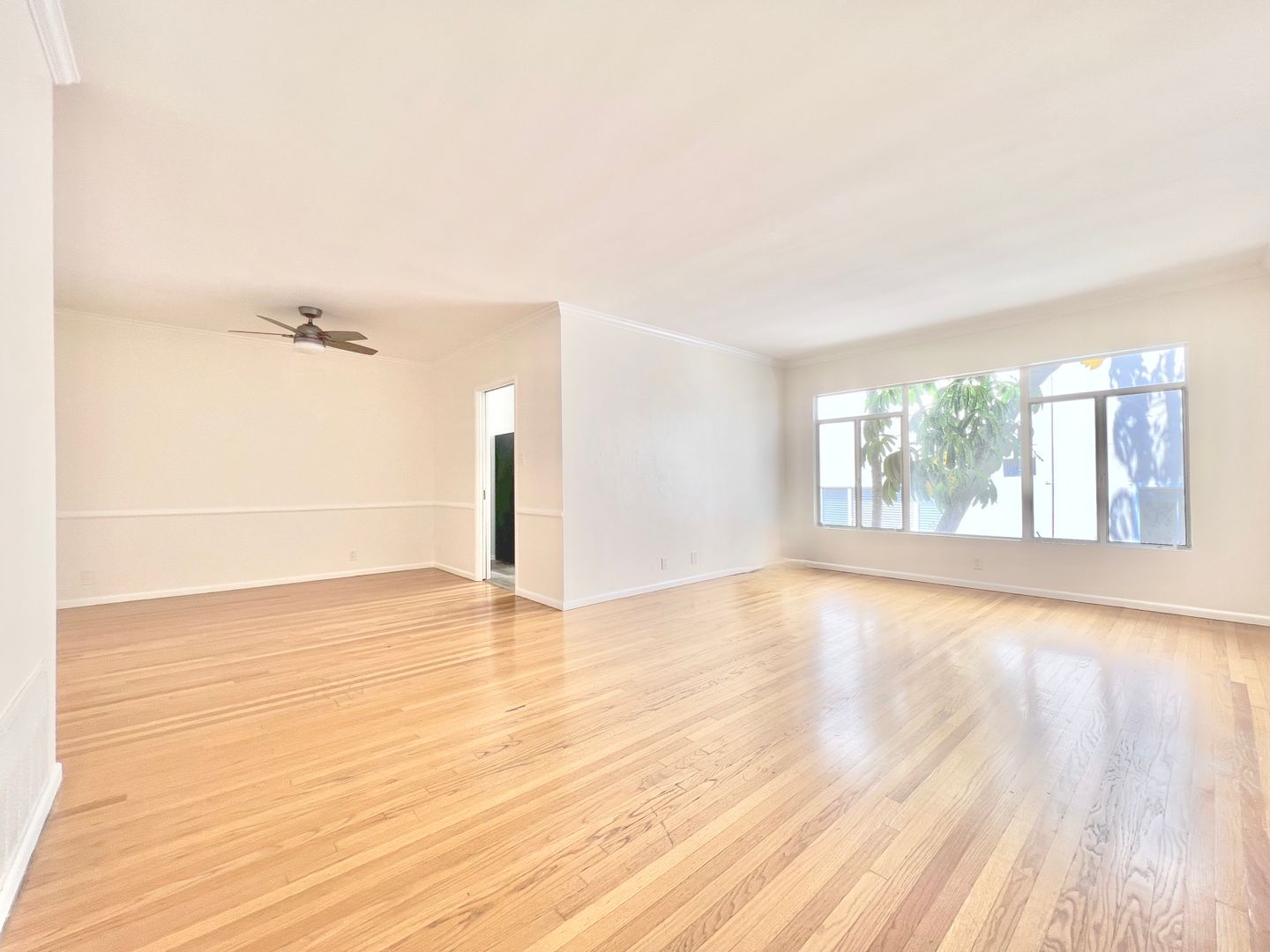 Beverly Hills Apartment: 357 S Elm Dr