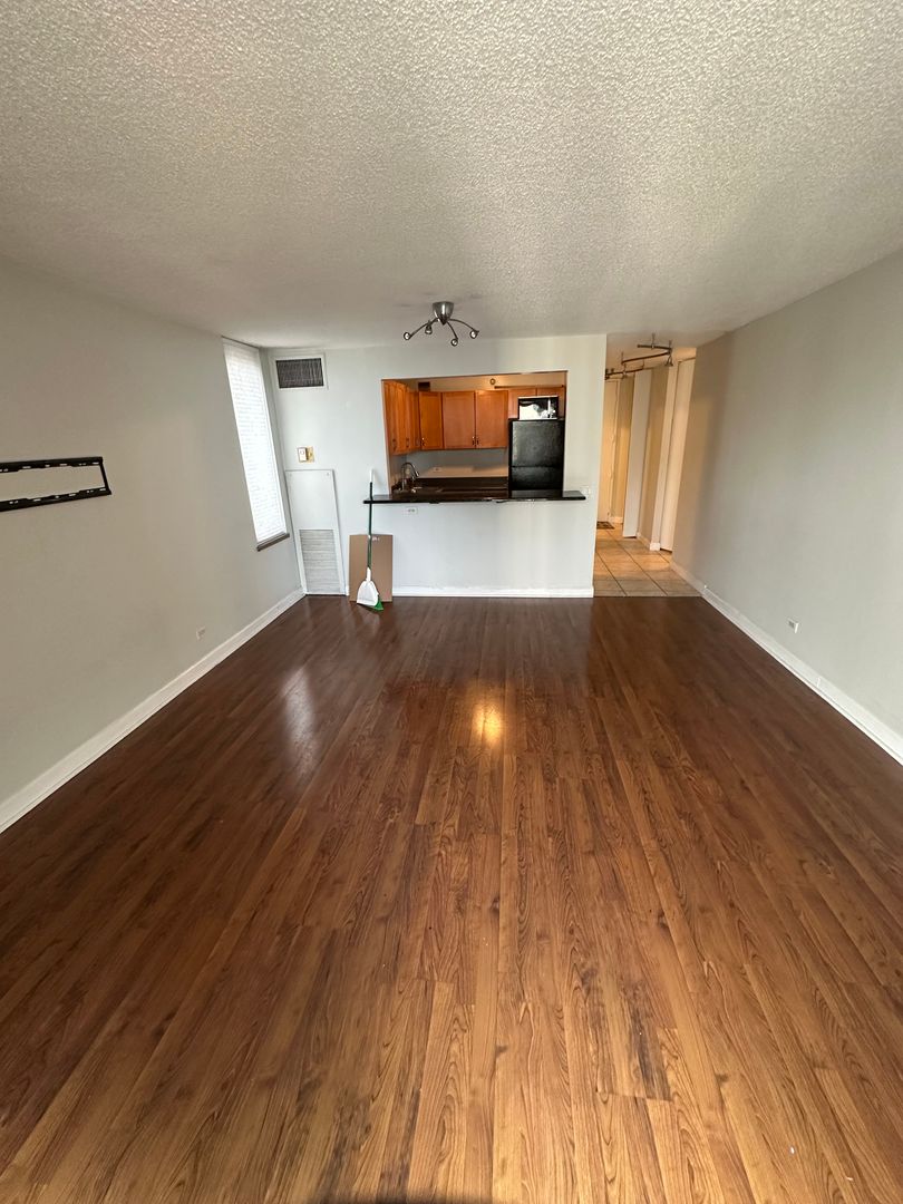 Chicago House: 3660 N Lake Shore Drive #2007