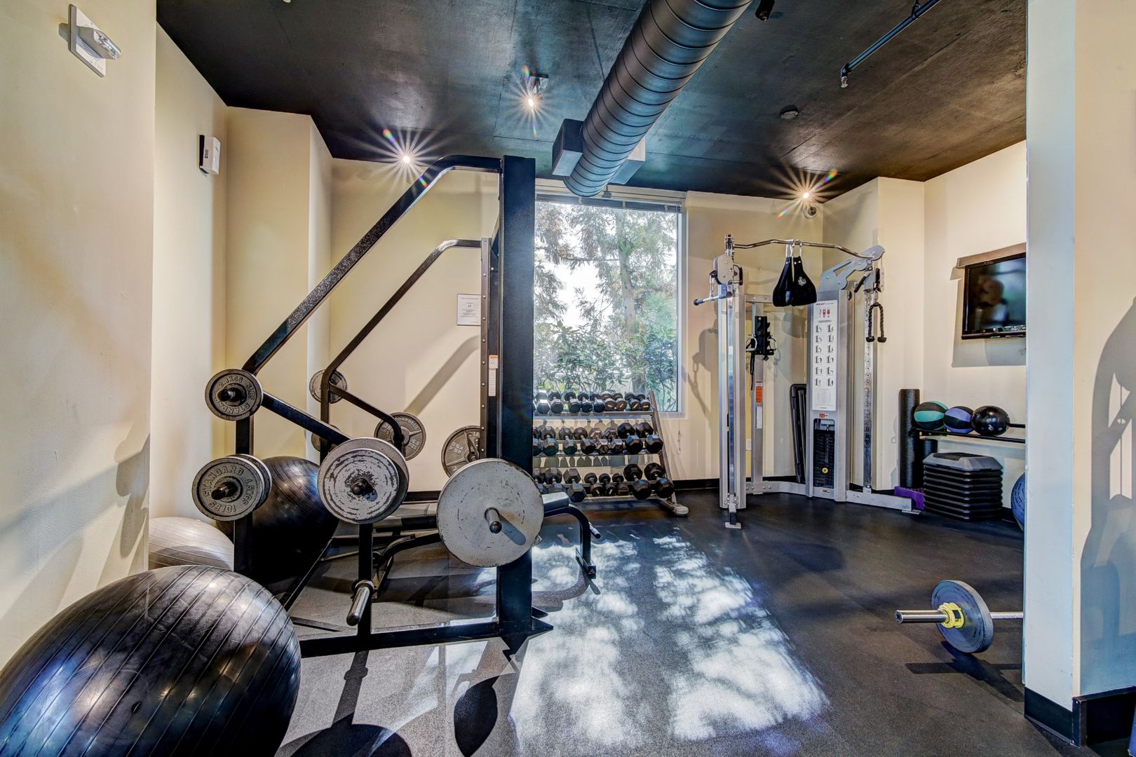 Gym at Realm 2610 (3 of 3)