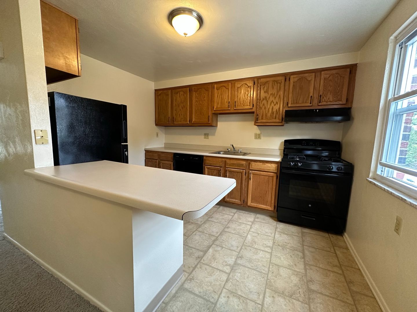 Pittsburgh Townhome: 438 Mower Drive - D