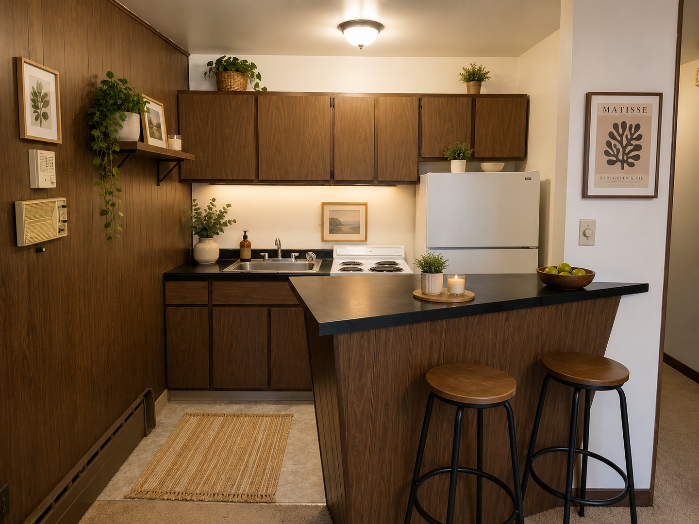 Pittsburgh Apartment: 231 S. Mathilda Street