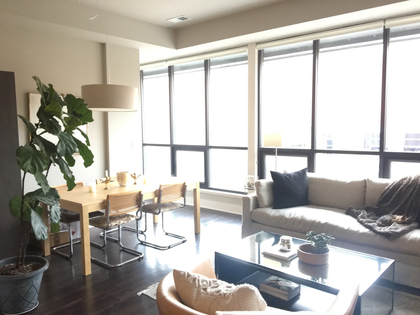 Milwaukee Apartment: 2217 N. Prospect Avenue