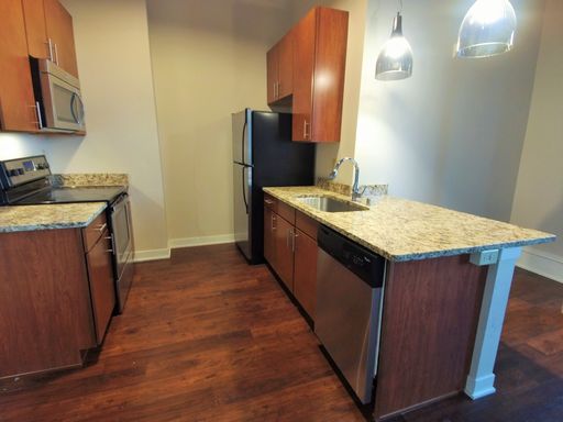 Chicago Street Lofts - Studio – photo 1