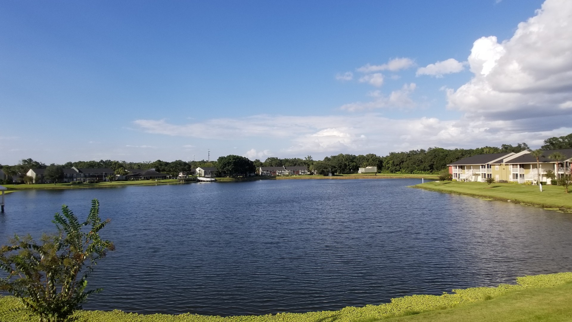 Brandon House: 220 Lake Parsons Green #207