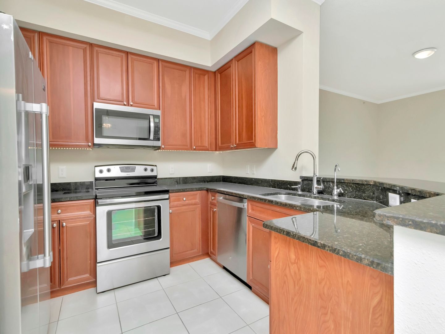 New Port Richey Condo: 4516 Seagull Dr. #916