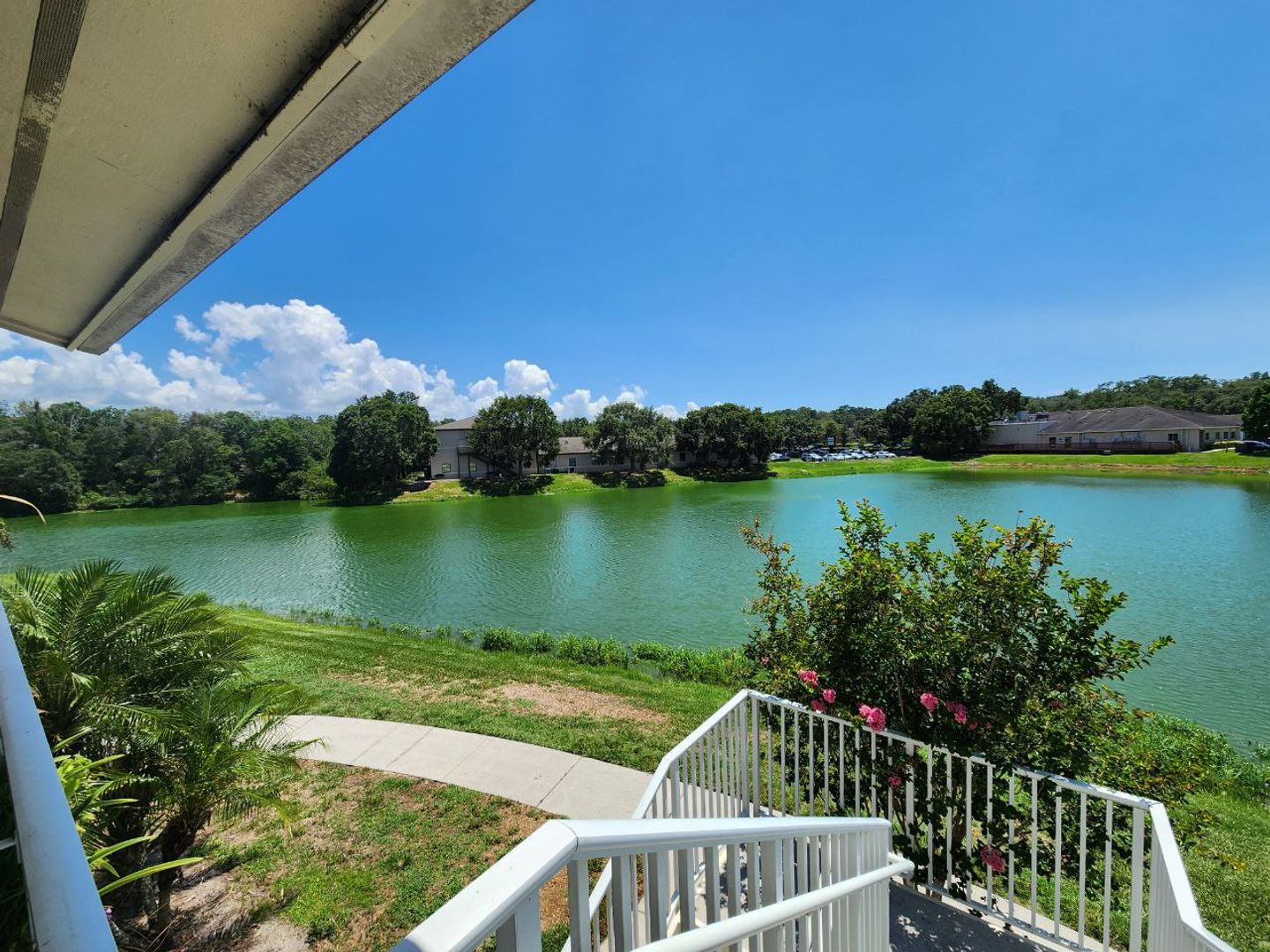 Brandon Condo: 215 Lake Brook Circle #207