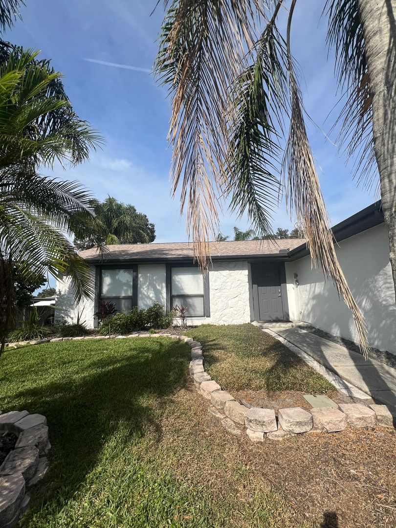 Palm Harbor Apartment: 552 Hammock Drive