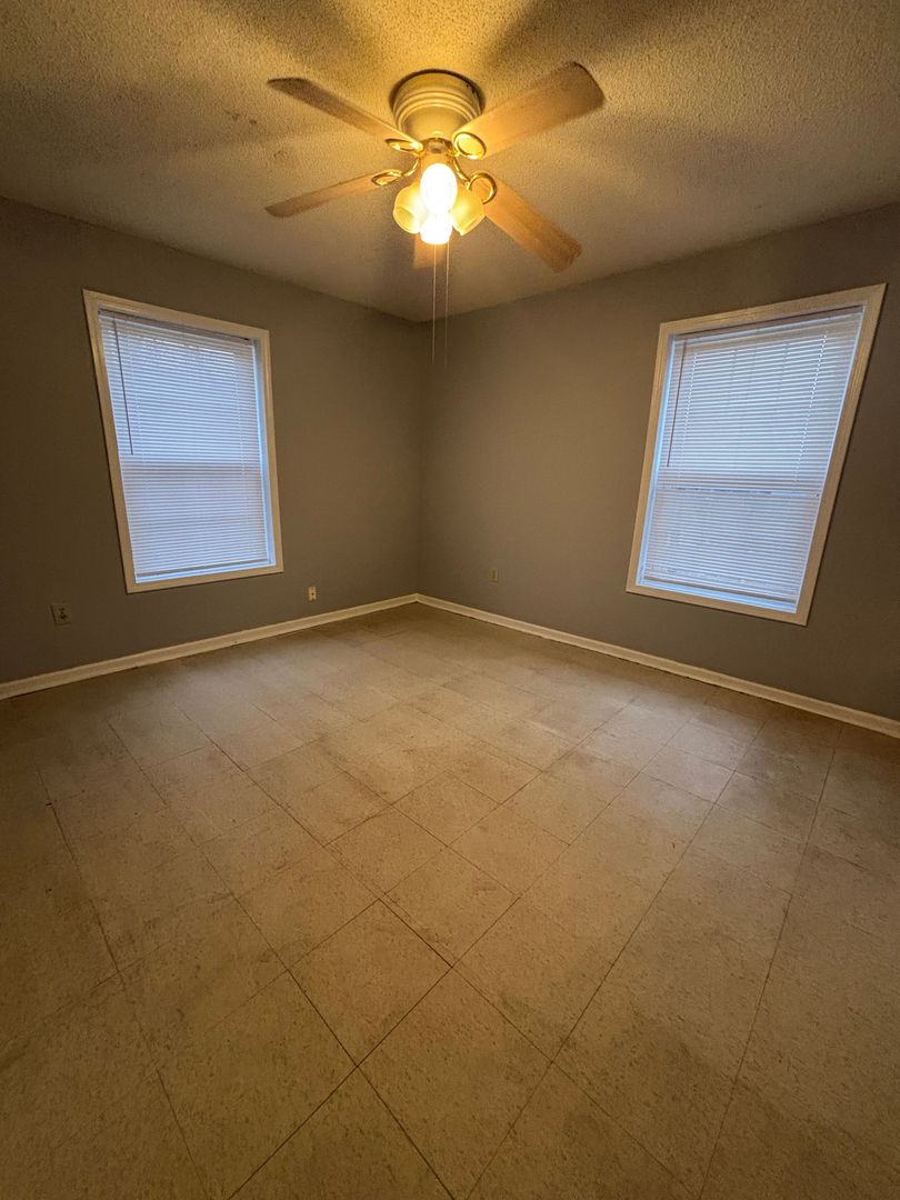 Pickens Apartment: 113 Ann Street