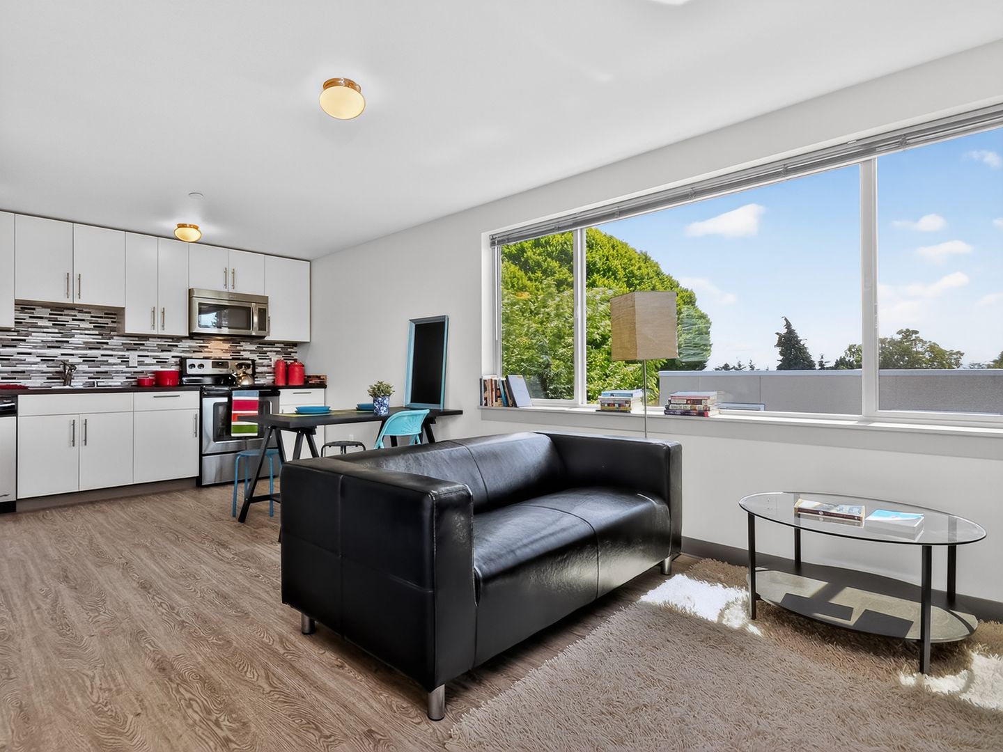 Seattle Apartment: 1123 N 92nd Street