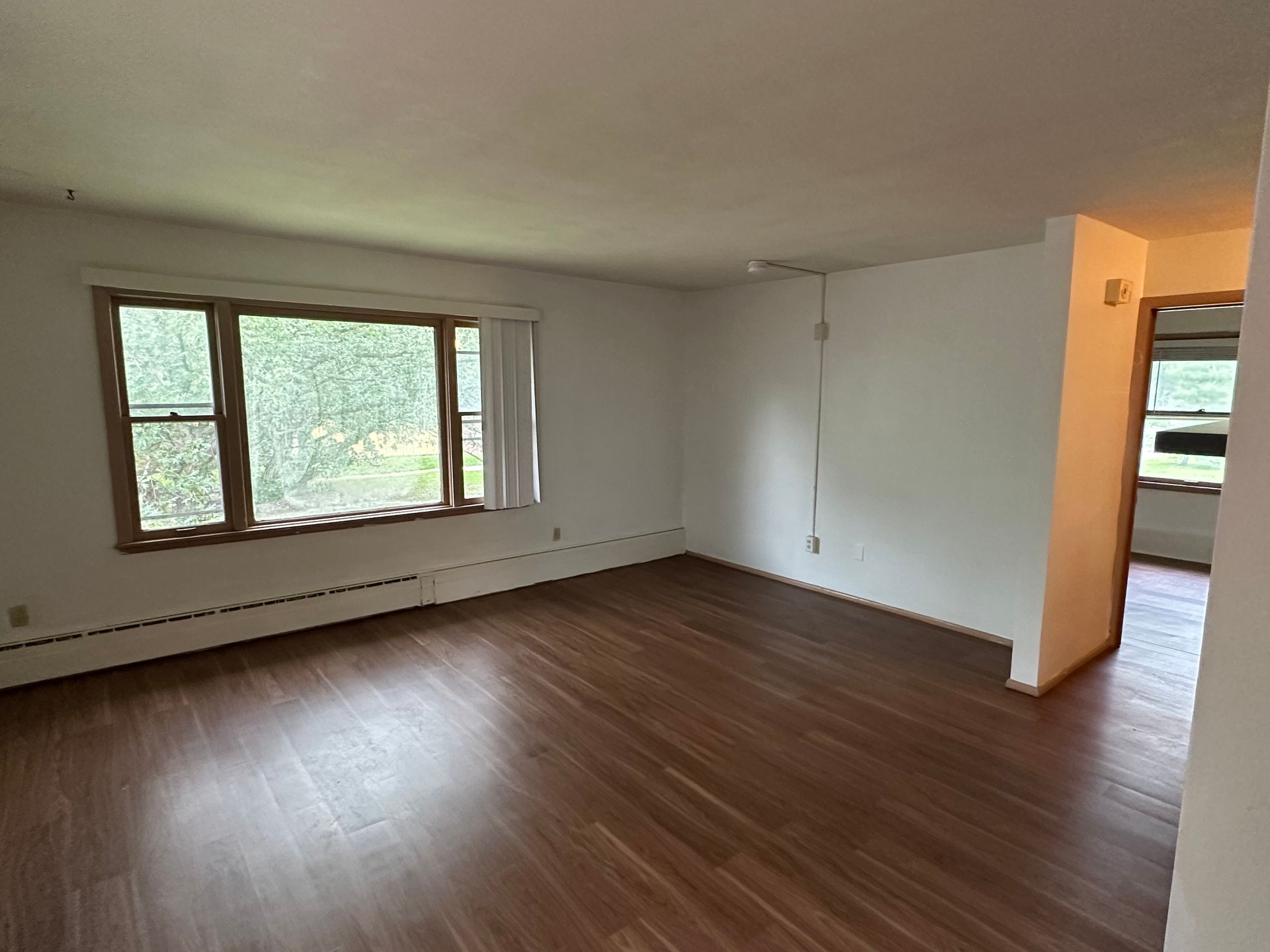 Urbana Apartment: 115 West Washington Street