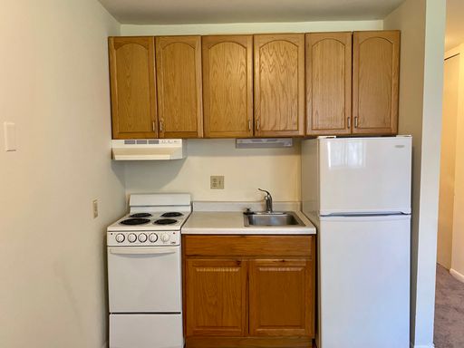 SUNNY & QUIET- 2 Blocks to Capitol & Lake- Available August 15, 2027 (Near East / Capitol / UW Madison) – photo 1