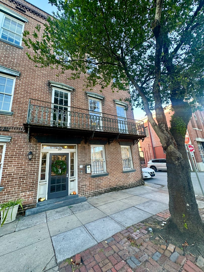 Savannah Apartment: 217 Abercorn St