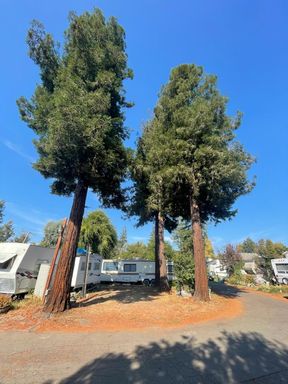 RV Space For Rent in Rohnert Park