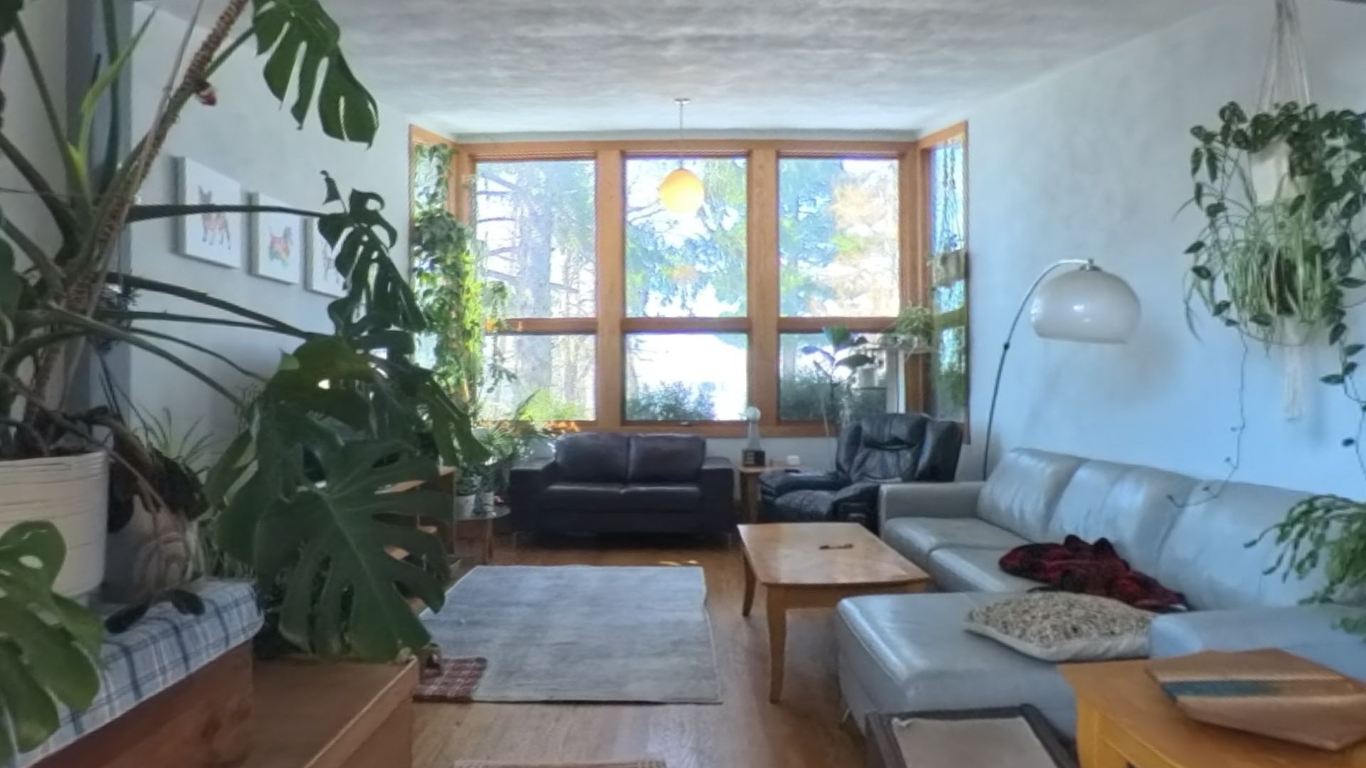 Madison House: 3006 Waunona Way