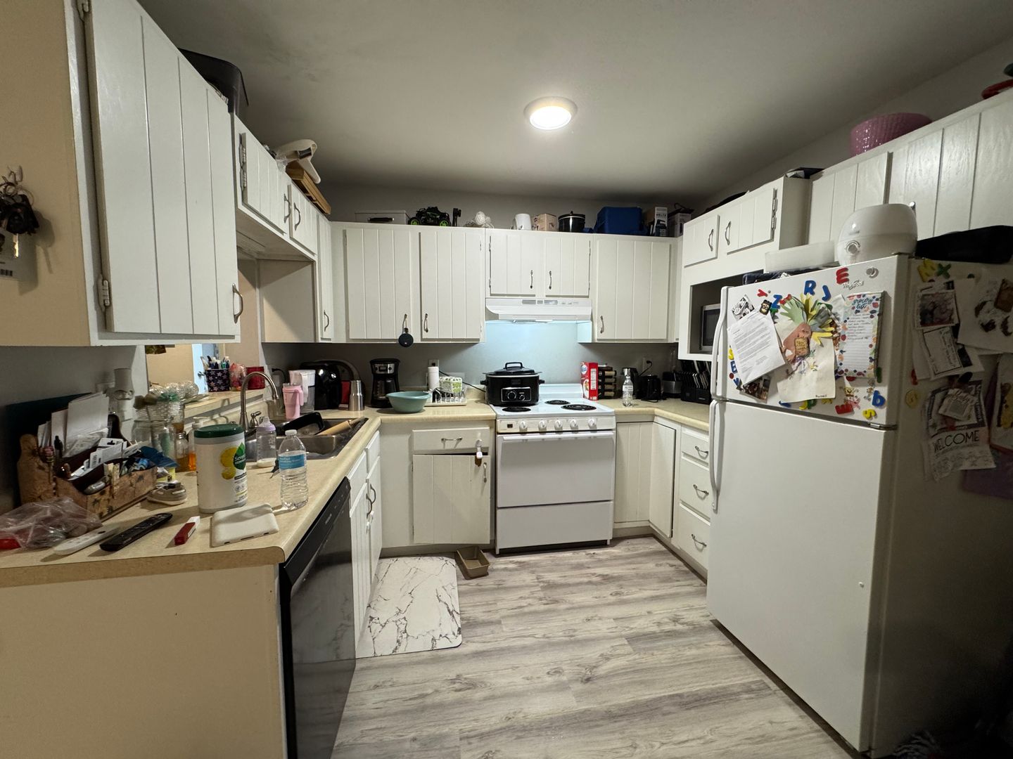 Madison Apartment: 18 N Wickham Ct