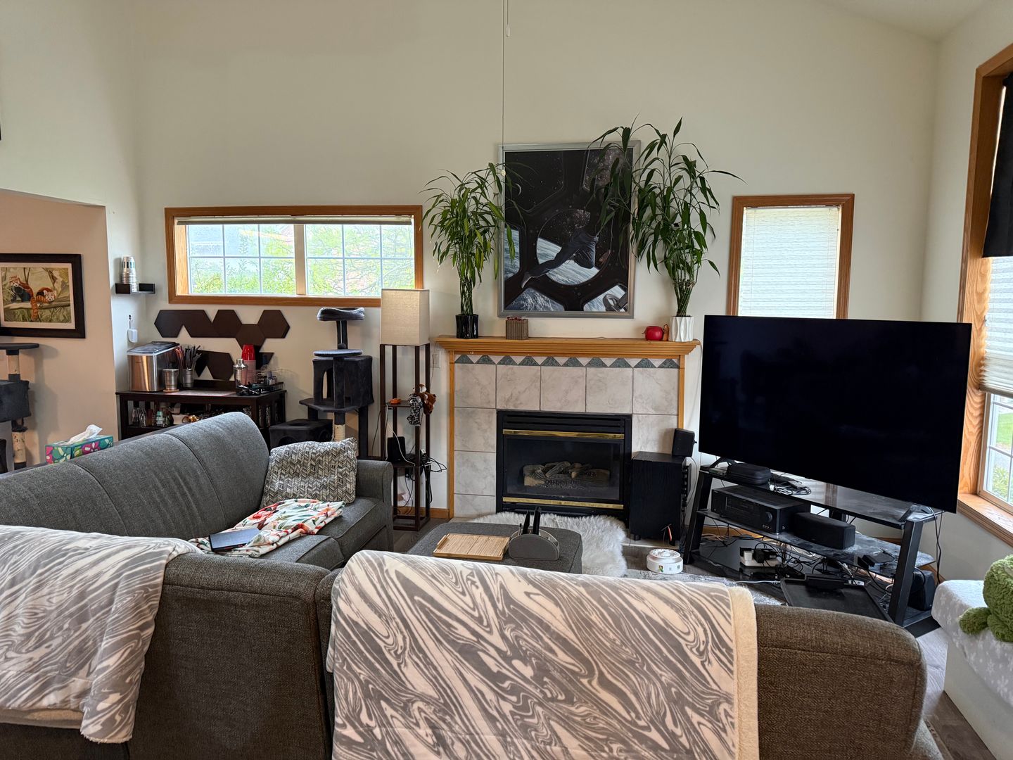 Madison Apartment: 6702-64 Pima Dr.