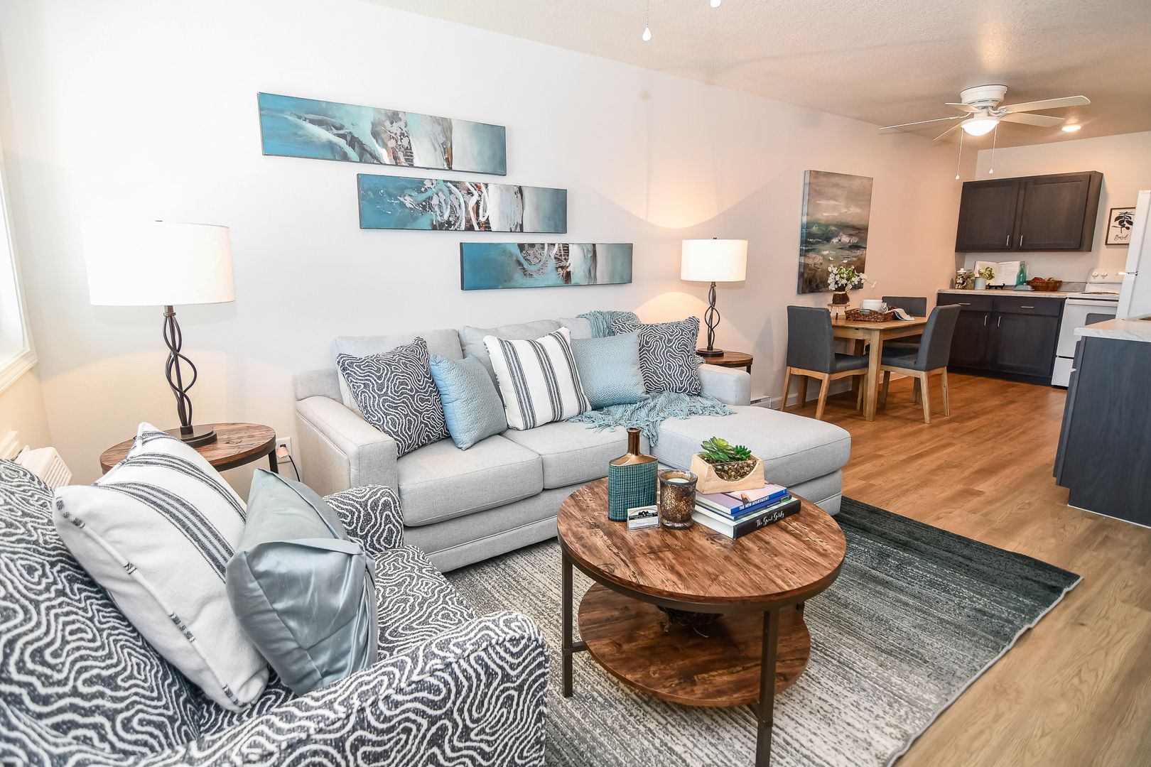 Boone Apartment: 680 S Marion St.
