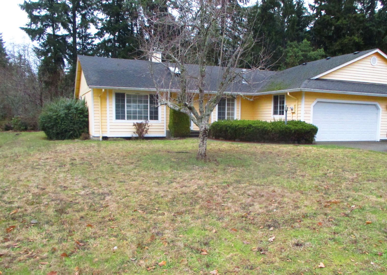 Gig Harbor Apartment: 3809/3811-124th St Nw