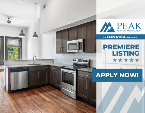 Modern 1-Bed/1-Bath at DogTown Apartments – Live in the Heart of Manchester! Available September! Enjoy a limited time offer - First month FREE! – photo 1