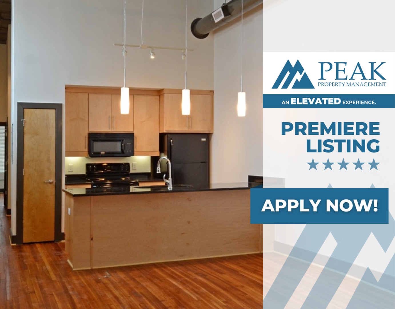 Petersburg Apartment: 132 North Sycamore Street