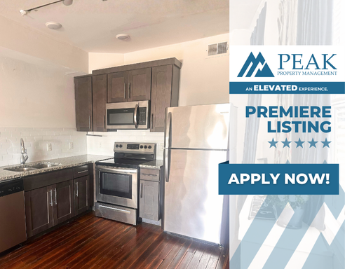 Enjoy a limited time offer - First month FREE! | DogTown Apartments – 1BR Urban Living Near Belle Isle | Available September! – photo 1