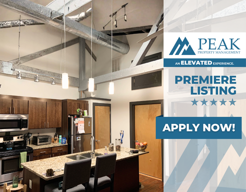 Sign a lease by 9/1 and get Half OFF of your first month's rent! | Historic 1 Bedroom Apartment in the Heart of Jackson Ward | Walk to Dining, Arts & VCU | Available Mid-August – photo 1
