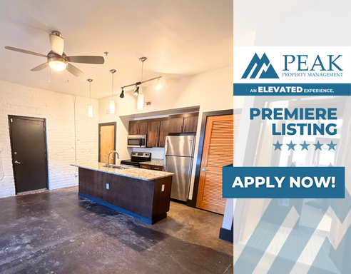 Move in by 9/15 and get Half OFF of your first month's rent! | Historic 1 Bedroom Apartment in the Heart of Jackson Ward | Ground floor with grassy fenced in area out front! – photo 1