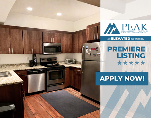 Sign a lease by 9/1 and get Half OFF of your first month's rent! | Historic 1 Bedroom Apartment in the Heart of Jackson Ward | Walk to Dining, Arts & VCU – photo 1