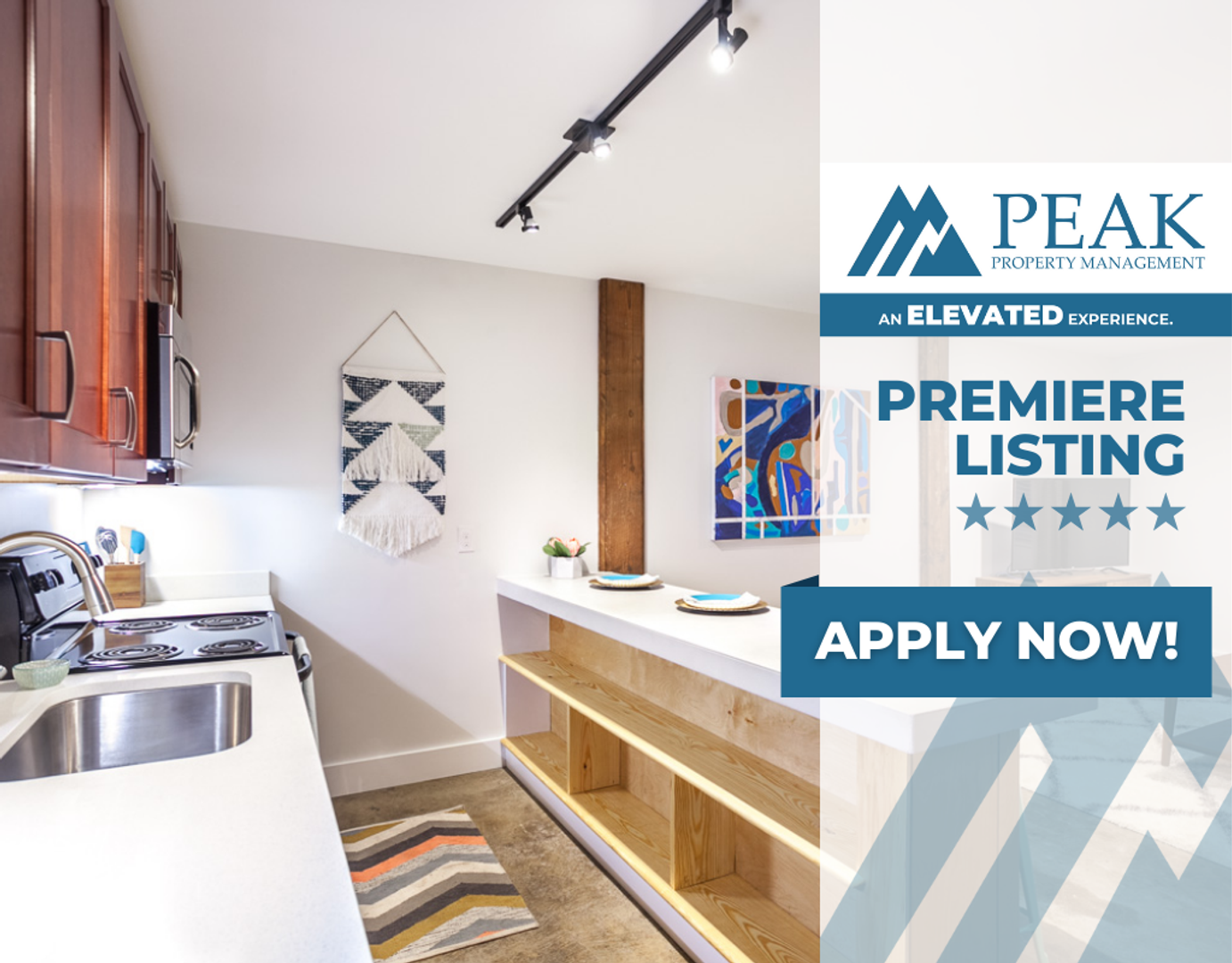 Petersburg Apartment: 219 E Bank St