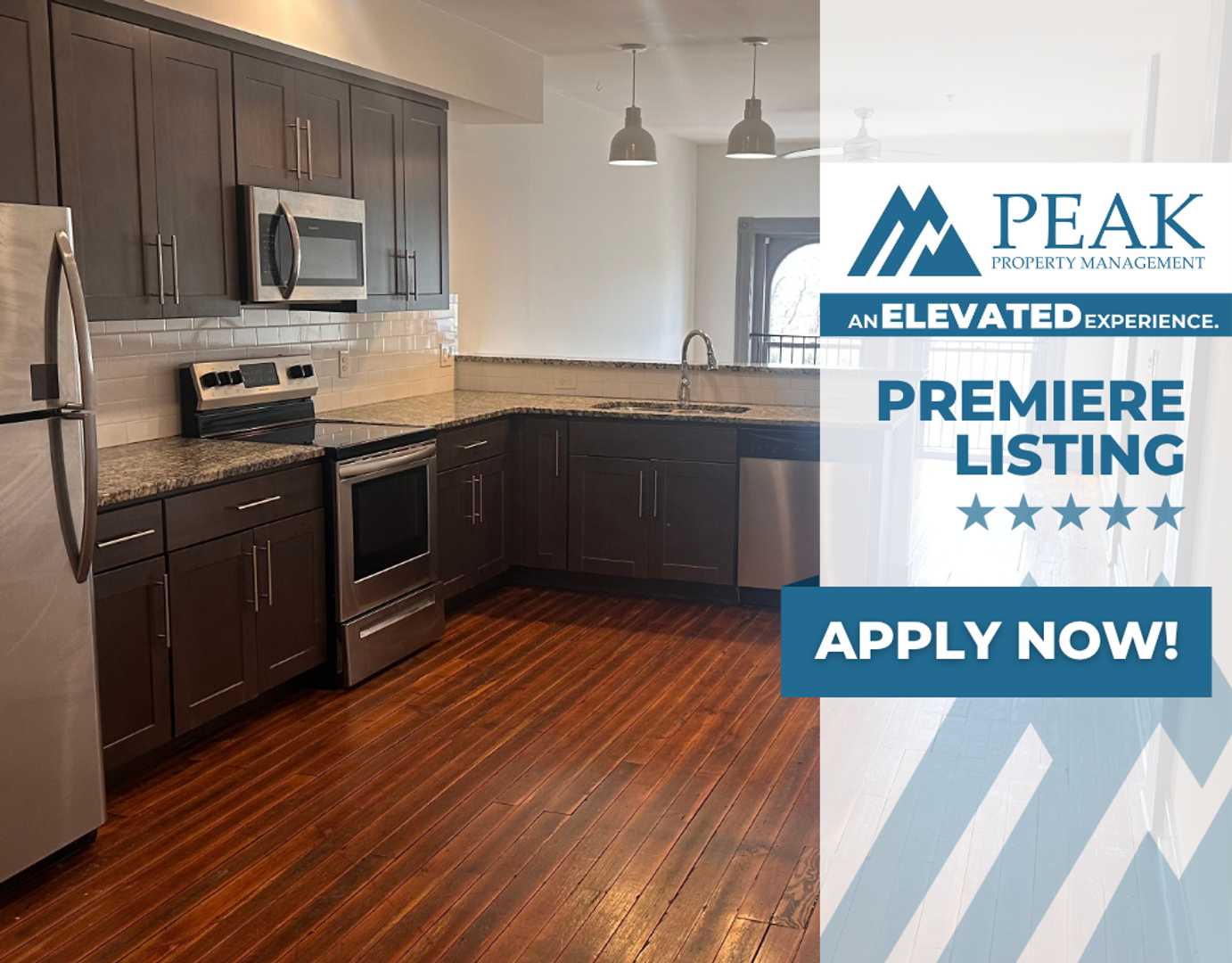 Richmond Apartment: 1209 Hull St