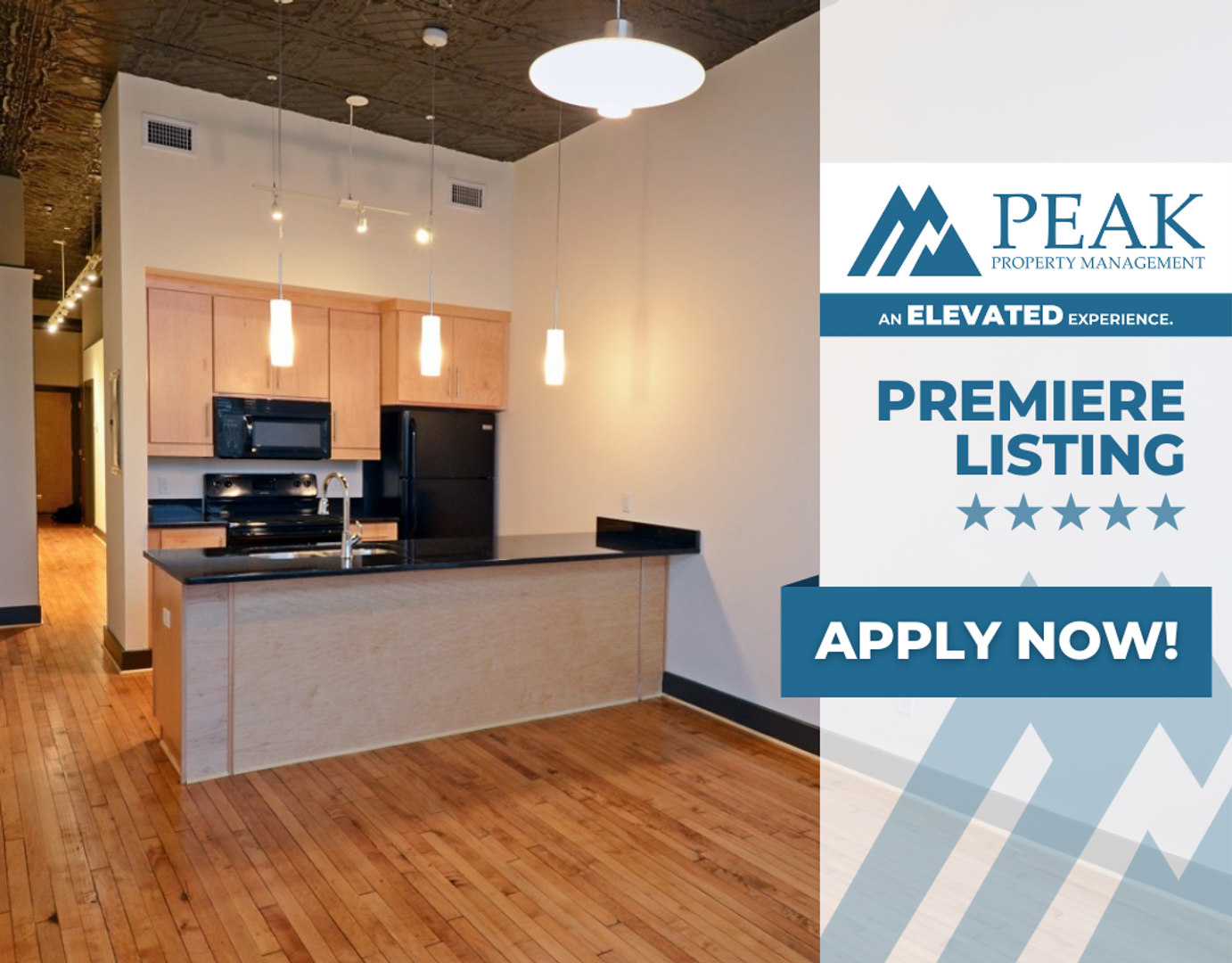 Petersburg Apartment: 132 North Sycamore Street