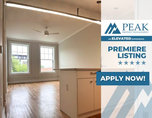 Beautiful newly renovated 1 bedroom 1 bathroom apartment – photo 1