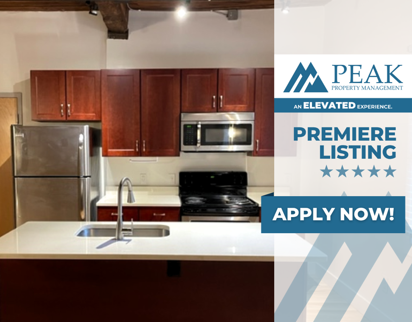 Petersburg Apartment: 219 E Bank St