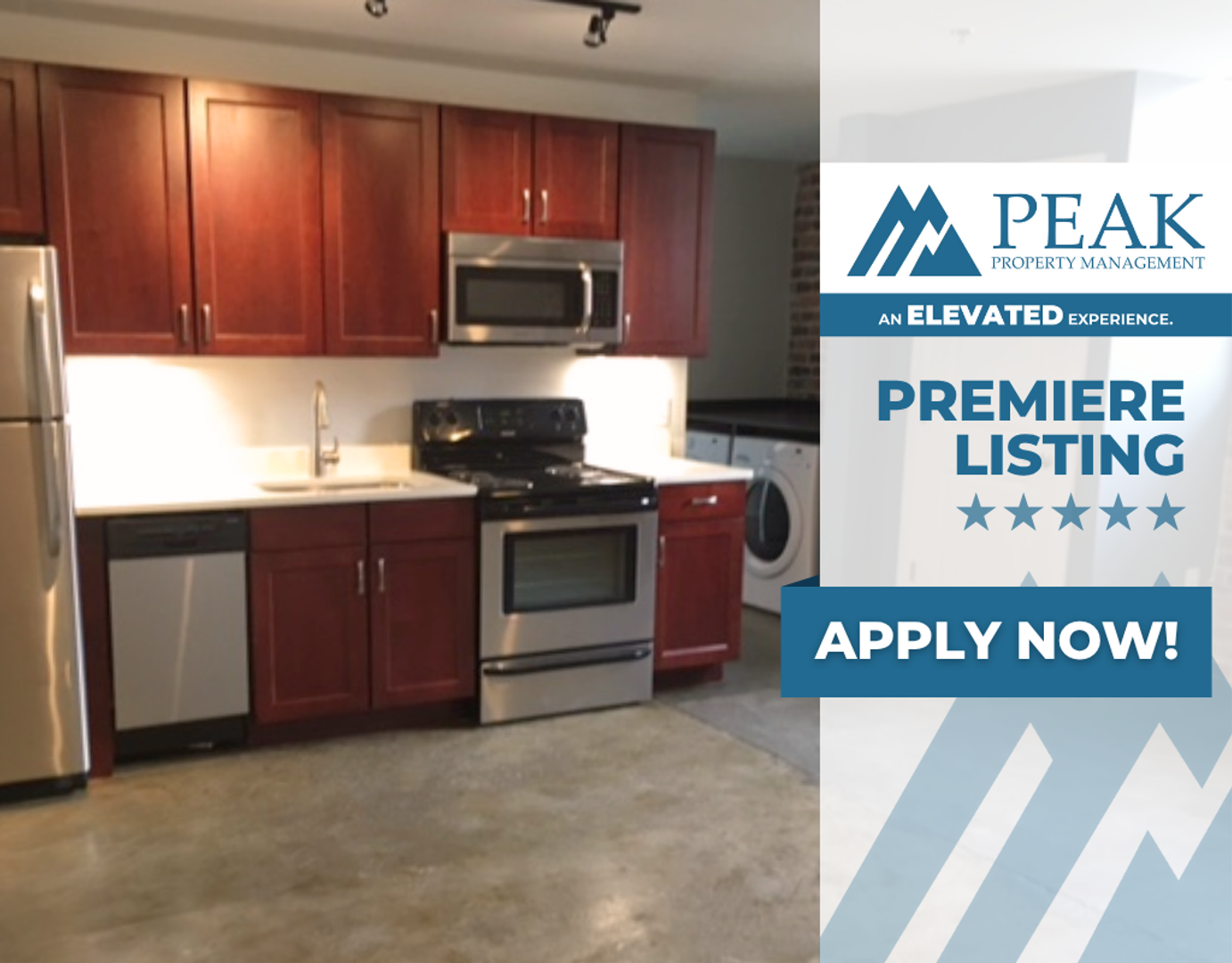 Petersburg Apartment: 219 E Bank St