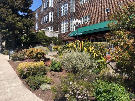 Beautiful One Bedroom in Modern Building, in Gourmet Ghetto Area - Berkeley Schools! – photo 1