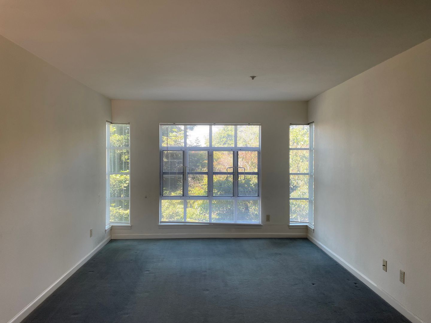 Berkeley Apartment: 1385 Shattuck Avenue