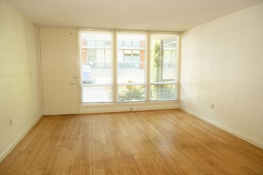 Mid-Century Retro Style Next to Forest Park with Patio and Parking Available! – photo 1