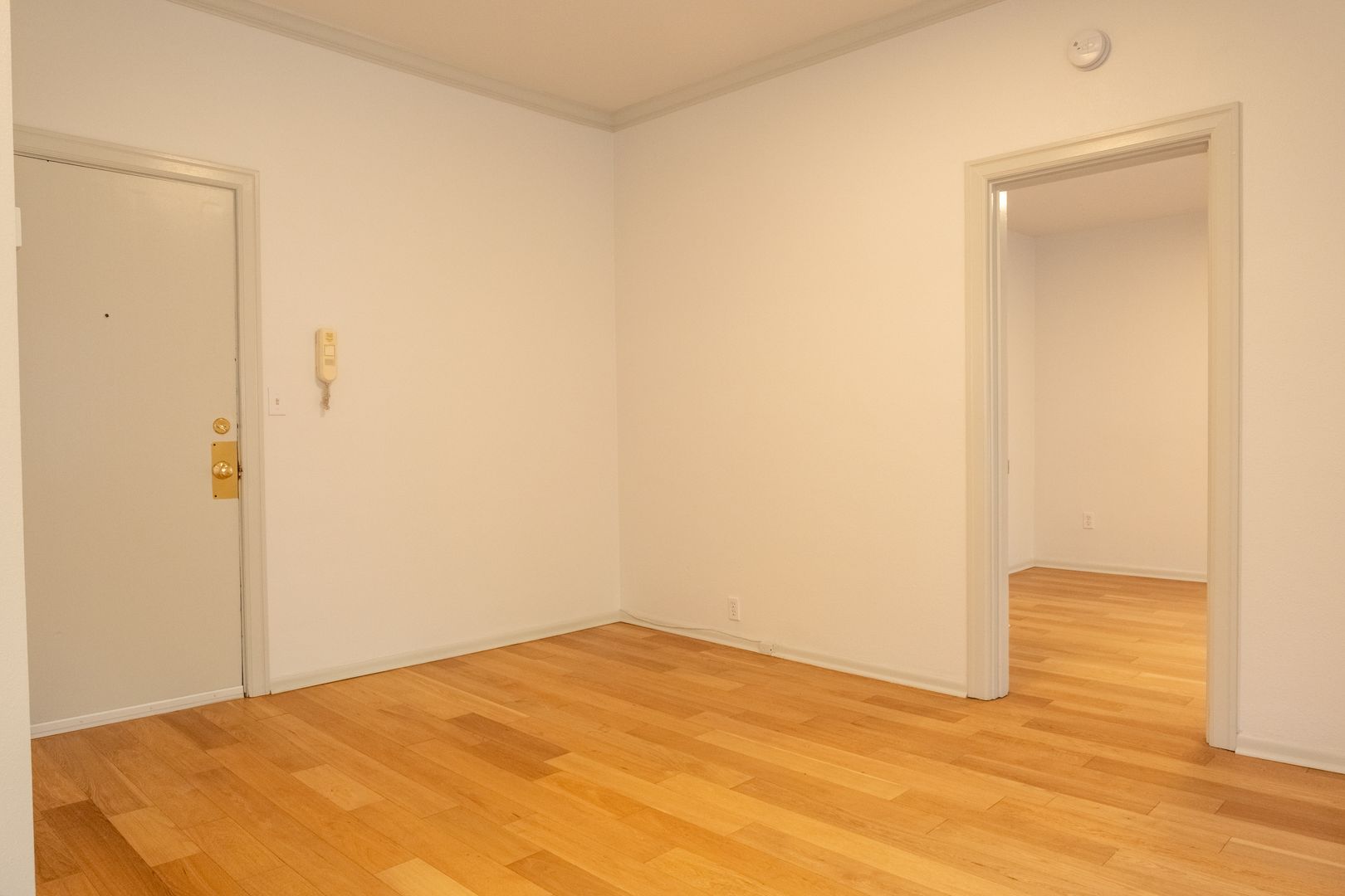 Portland Apartment: 1117 SW Alder St.