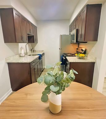 FREE RENT! Fully Remodeled with Washer/Dryer Connections! Furnished Units Available! – photo 1
