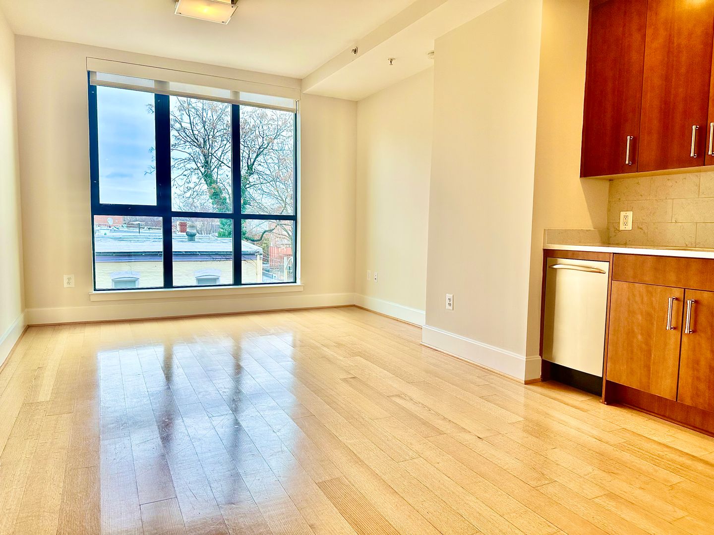 Washington Apartment: 1919 14th Street, NW