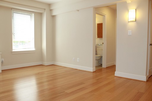 The Delano: Spacious Renovated 1 Bedroom with W/D, southern exposure and great light! – photo 1