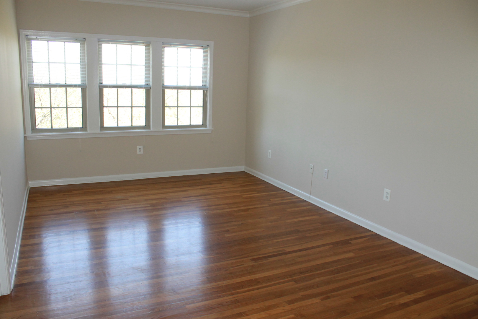 Washington Apartment: 2070 Belmont Rd, NW