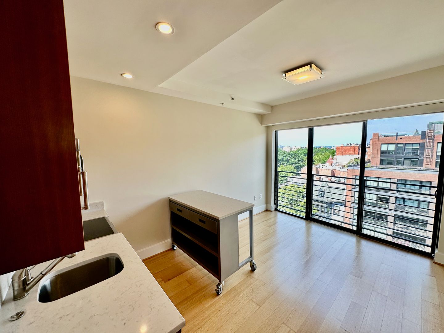 Washington Apartment: 1919 14th Street, NW