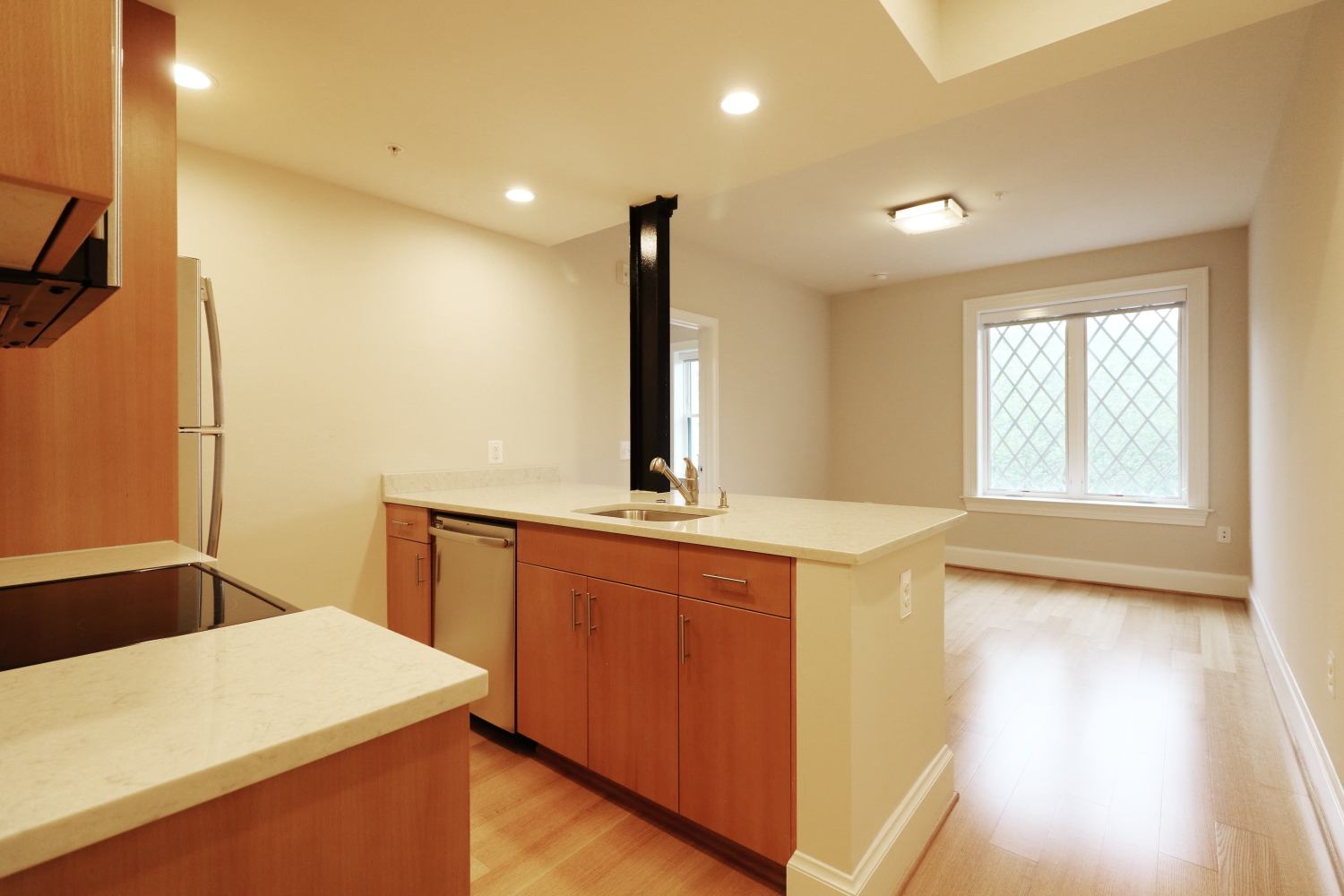 Washington Apartment: 1712 17th Street, NW