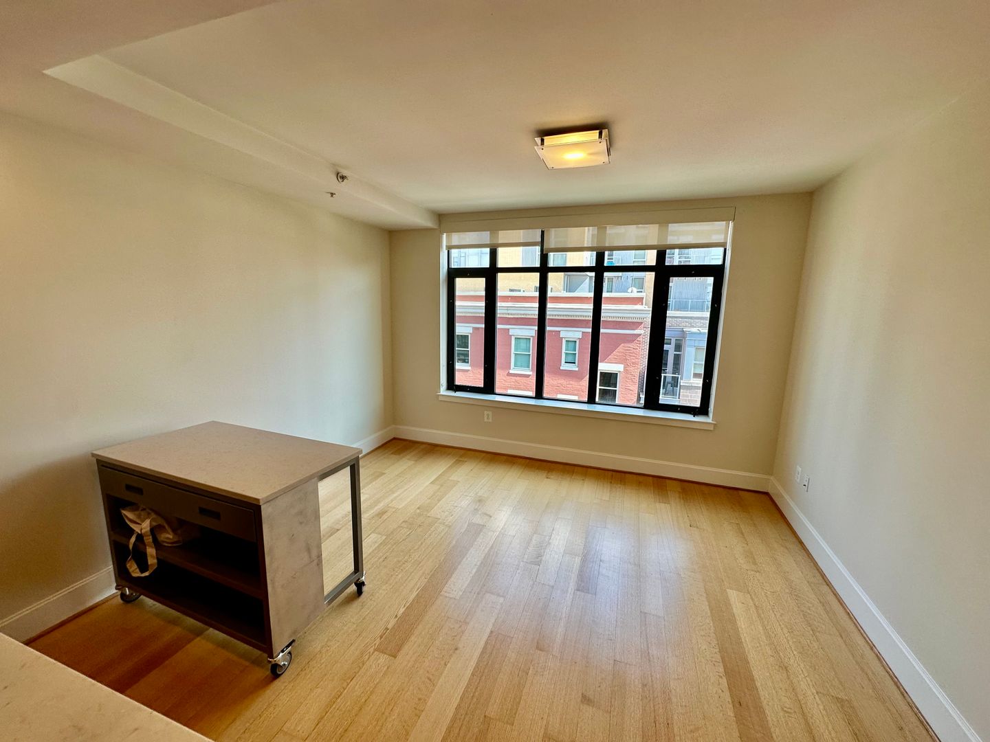 Washington Apartment: 1919 14th Street, NW