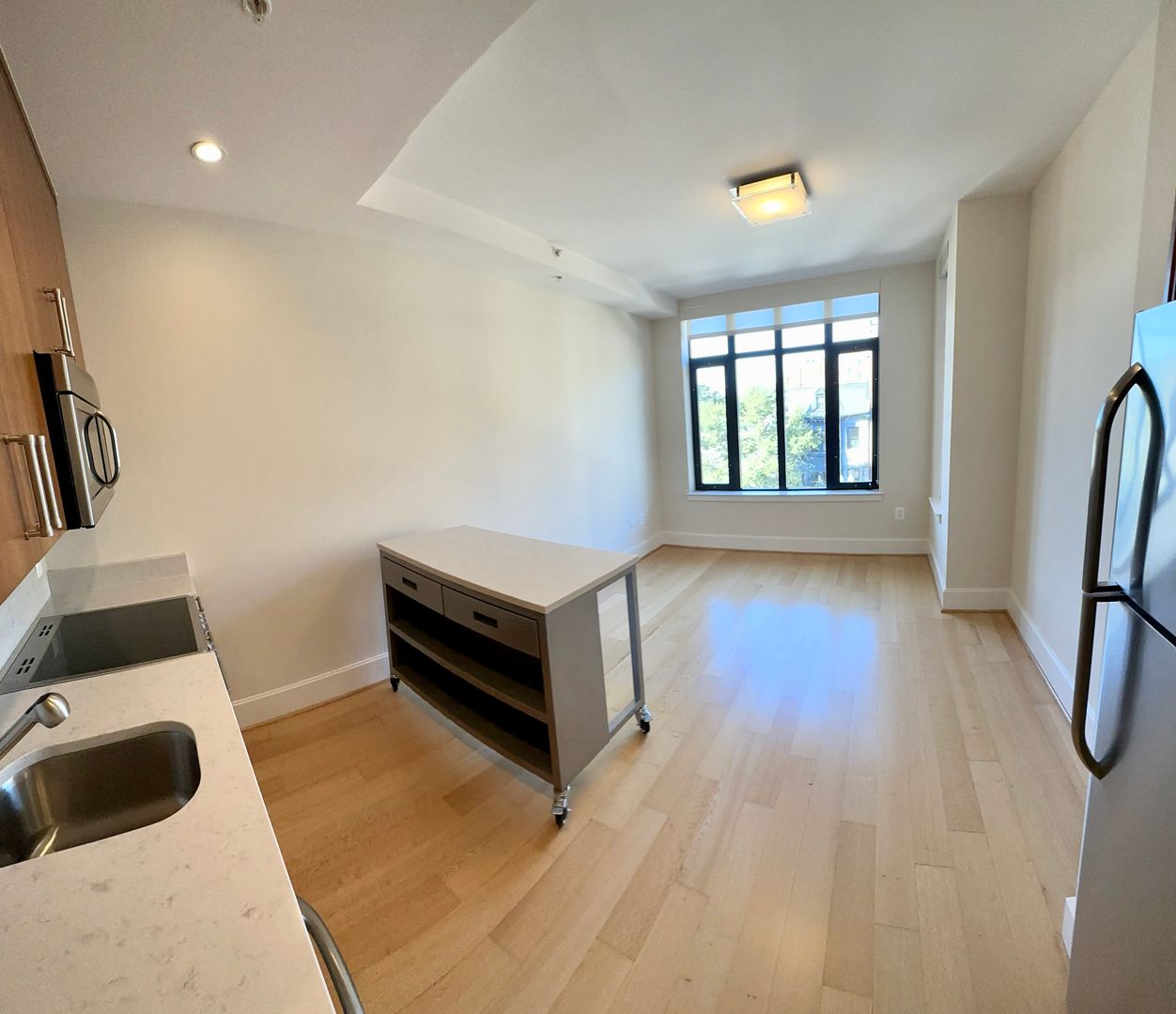 Washington Apartment: 1919 14th Street, NW