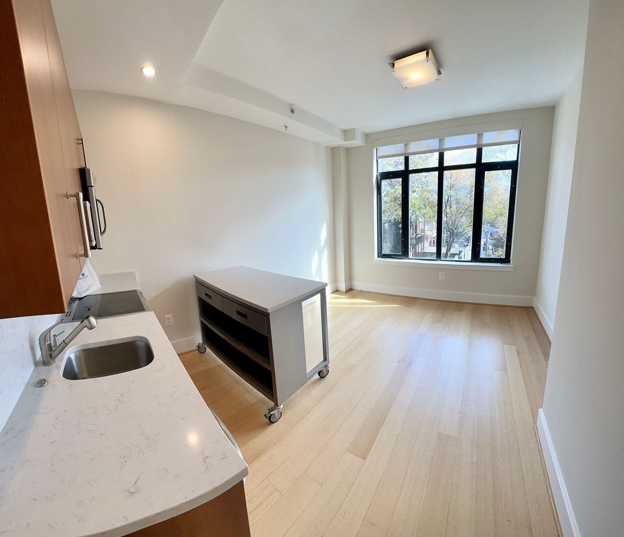 Washington Apartment: 1919 14th Street, NW