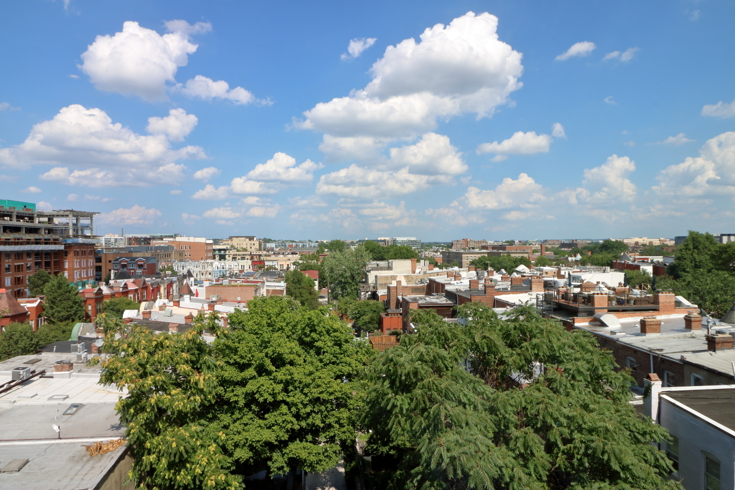 Washington Apartment: 1919 14th Street, NW