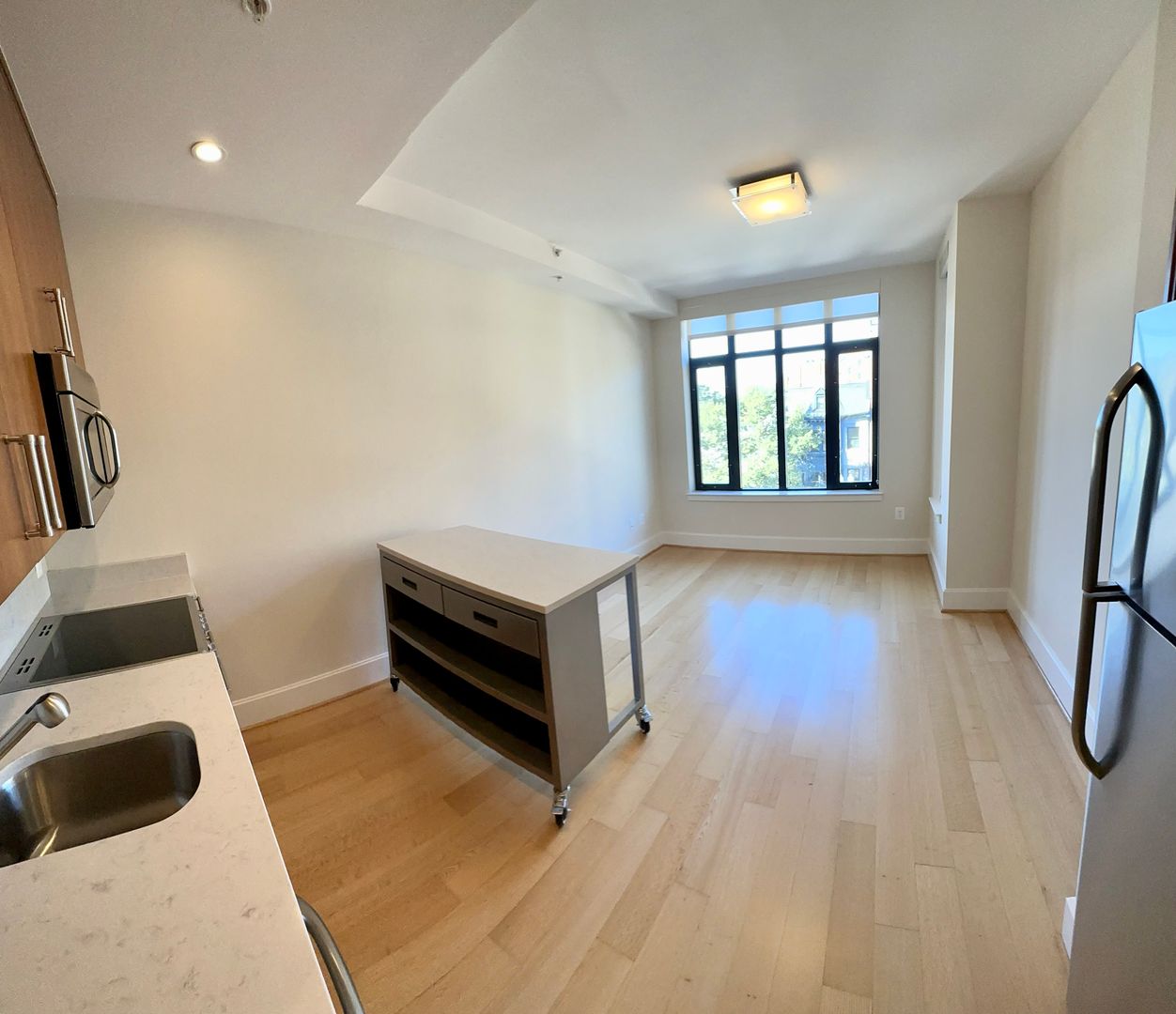 Washington Apartment: 1919 14th Street, NW